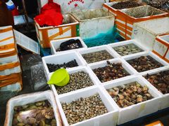 -海峡水产品交易中心(海鲜交易区)