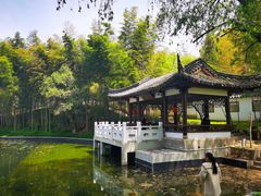 -求雨山文化公园