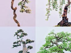 -昆明滇池国际会展中心