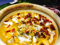水煮鲶鱼-辛香汇(飞洲店)