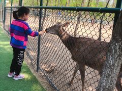 -大连铭湖国际观光牧场