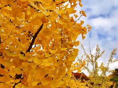 -丹东天桥沟景区