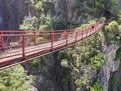 -旗山国家森林公园