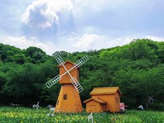 -苏州上方山国家森林公园