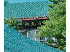 -桂湖森林公园