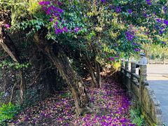 -和顺古镇