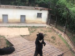 -青岛森林野生动物世界