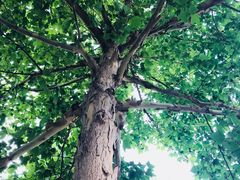 -中央音乐学院歌剧音乐厅