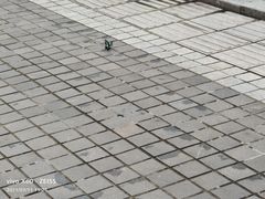 -龙头寺公园