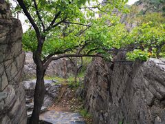 -百里山水画廊乌龙峡谷