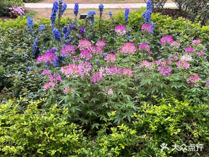 人民公园(罗湖区)图片