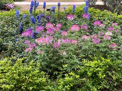 -人民公园(罗湖区)