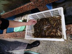 -渔人湾码头海鲜市场负二楼