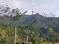 -梧桐山风景名胜区