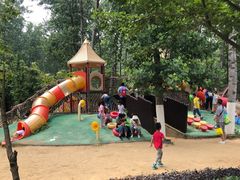 -合肥滨湖国家森林公园