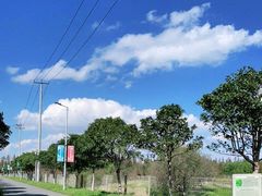 -上海长兴岛郊野公园