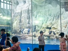 -帝企鹅自助餐厅•儿童岛•真企鹅(长隆企鹅酒店)