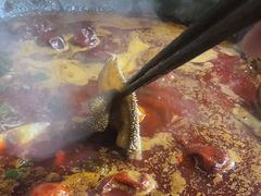 -五里关火锅(牛市口店)