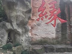 -杭州黄龙洞