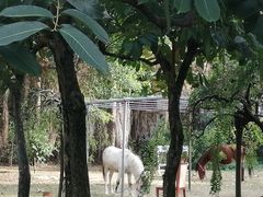 -福建鲤鱼洲酒店