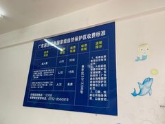 -广东惠东海龟国家级自然保护区