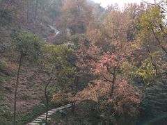 -广州市石门国家森林公园