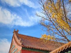 -故宫博物院(故宫)