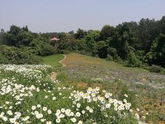 -保利石象湖景区