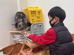 -有猫主题·治愈系猫咖(曾厝垵店)
