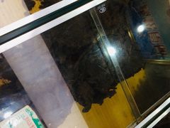 -青松牛肉干(大名路店)