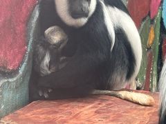 -黔灵山公园-南门售票处