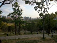 -牛岗山公园