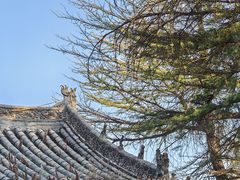 -函谷关历史文化旅游区