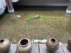 -几荷·恰似故人来(秀水广场店)