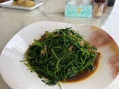 -品鲜村农家菜·阳澄湖大闸蟹(总店)