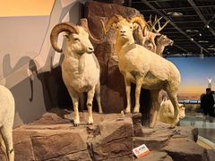 -陕西自然博物馆