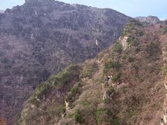 -牛背梁国家森林公园