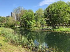 -长白岛森林公园