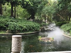 -名树园