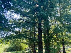 -国家植物园南园