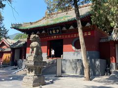 -中原农家乐(中原饭店)