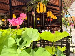 -淮扬府·游园京梦(北京SKP店)