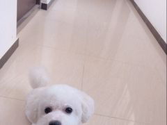 -米卢宠物公园(广华居店)
