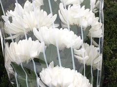 -上海市龙华烈士陵园