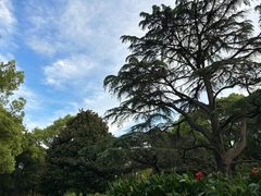 -上海虹桥迎宾馆