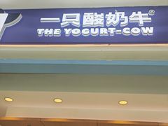 -一只酸奶牛(双流万达广场店)