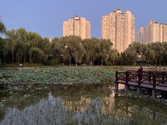 -望湖公园