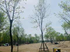 -东郊湿地公园