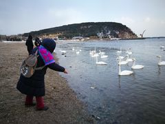 -烟墩角天鹅湖
