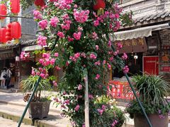 -洛带古镇